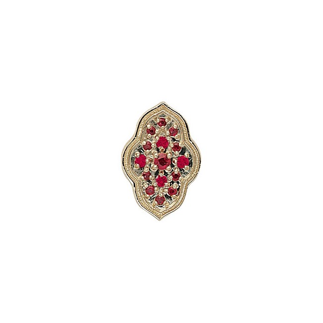 14 Karat Gold Ruby Slide