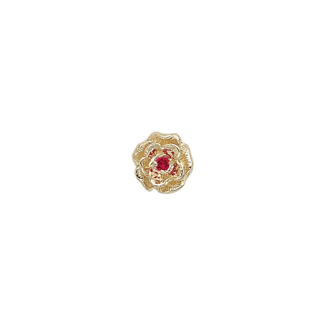 14 Karat Gold Ruby Slide