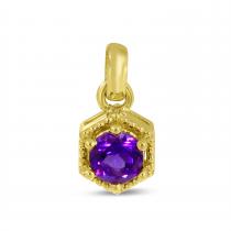 14K Yellow Gold Round Amethyst Hexagon Birthstone Pendant